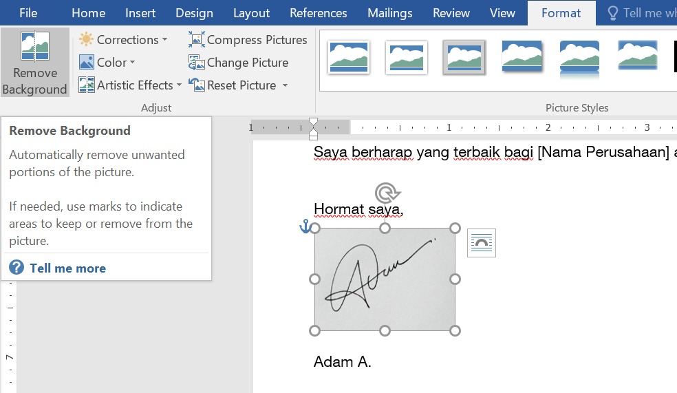 remove background jika diperlukan untuk menghasilkan foto tanda tangan yang lebih profesional di Word